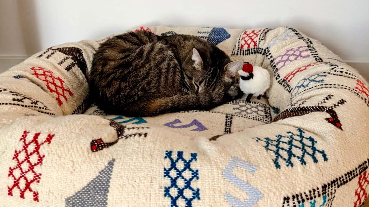 Cat Tacco curled up in hr new Fluffikon customized Kilim rug cat bed.