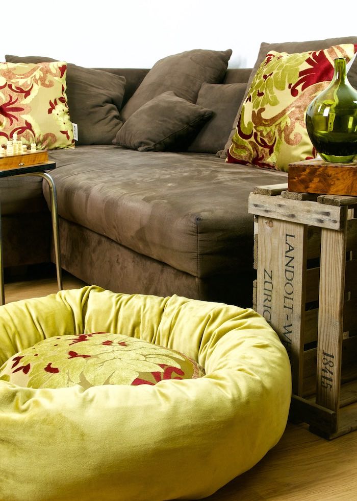 Red golden donut dog bed in front of a brown couch and wooden box. Two throw pillows on the couch with same material as the pet bed .