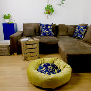 Yellow blue dog bed in stylish living room. The bed is on the ground in front of a brown couch.