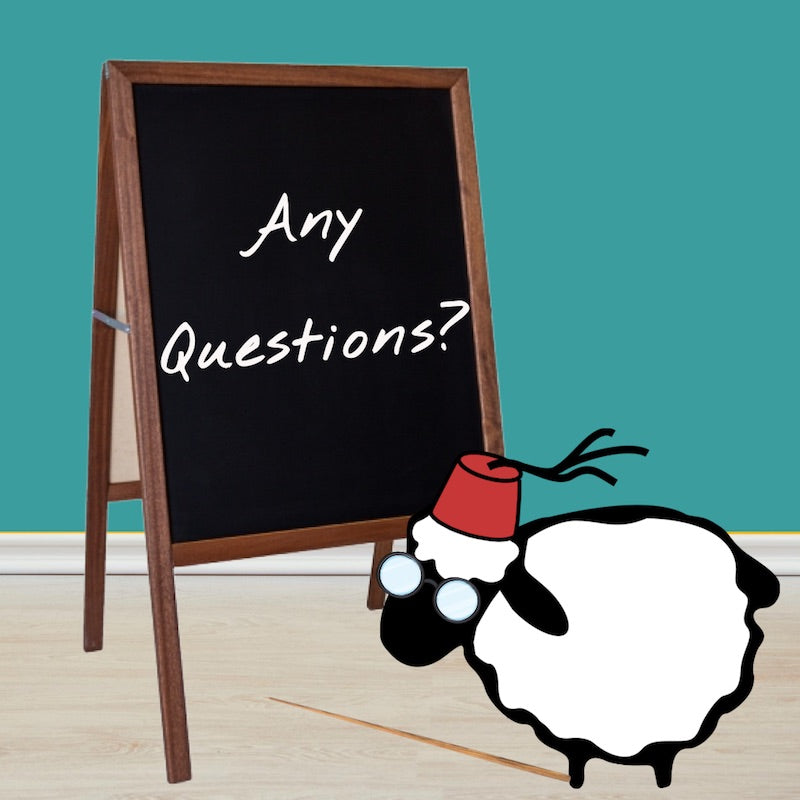 Sheep dressed as teacher. A sign says: Any Questions?