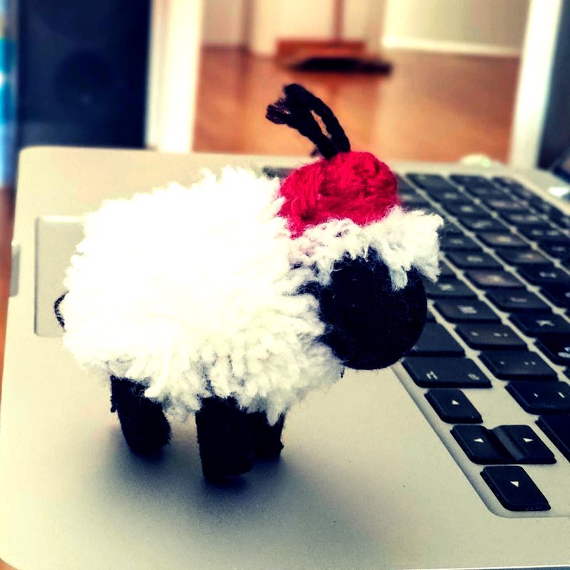 Small wool sheep with a Moroccan hat.