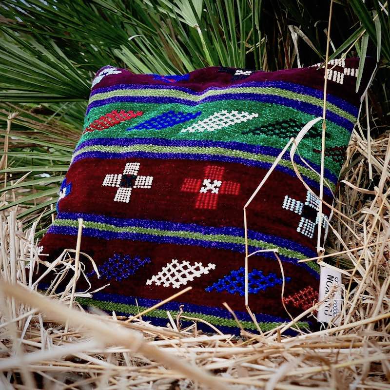 Brown decorative rug pillow in front of a palm.