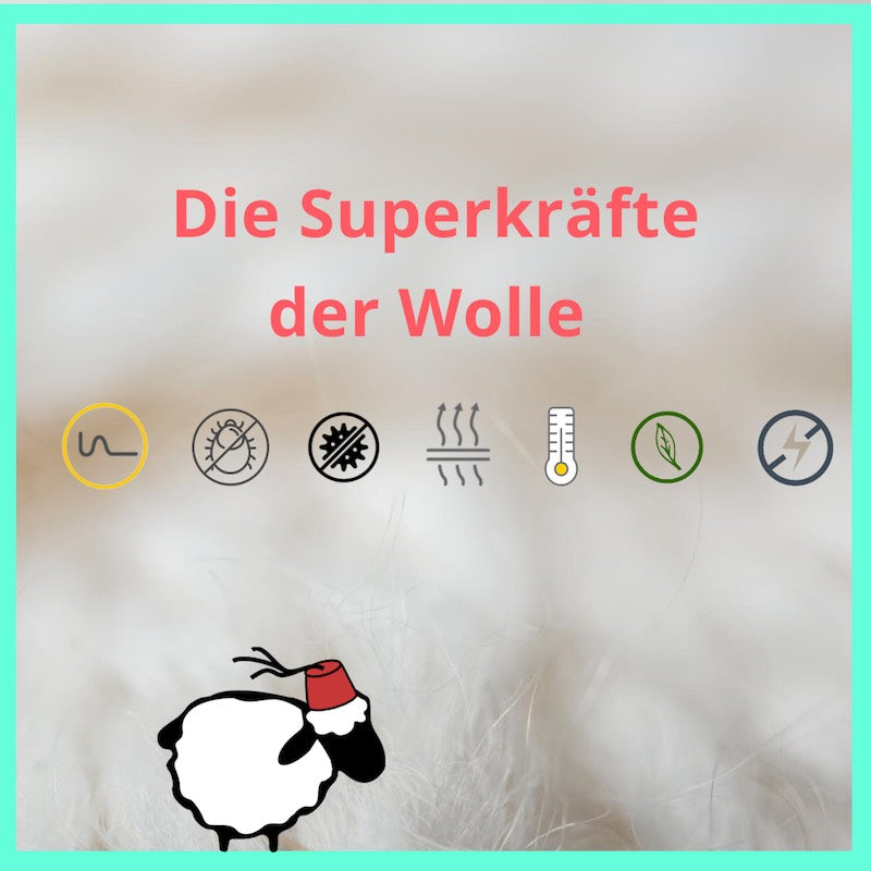 Die Superkräfte der Schafwolle. Ökologische Wolle für Hundebett mit Symbolen, Zb Milbenfrei. Fluffikons Lalla Soffa Schaf im Vordergrund.