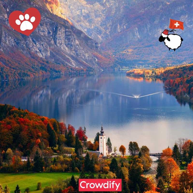 Mountains and sustainable dog bed wool