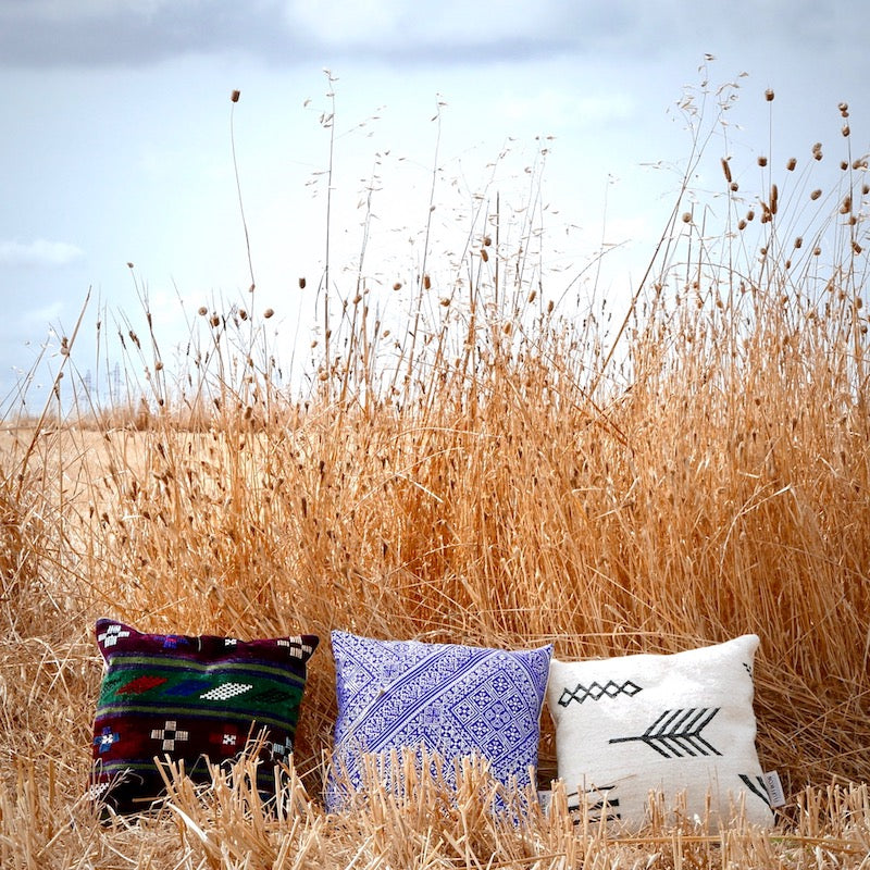 Three decorative pillows in a hay field