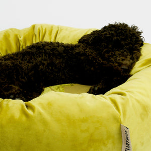 Dog sleeping in a donut dog bed.
