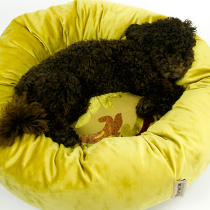 Dog being cozy in a round donut dog bed made from yellow velvet fabric.