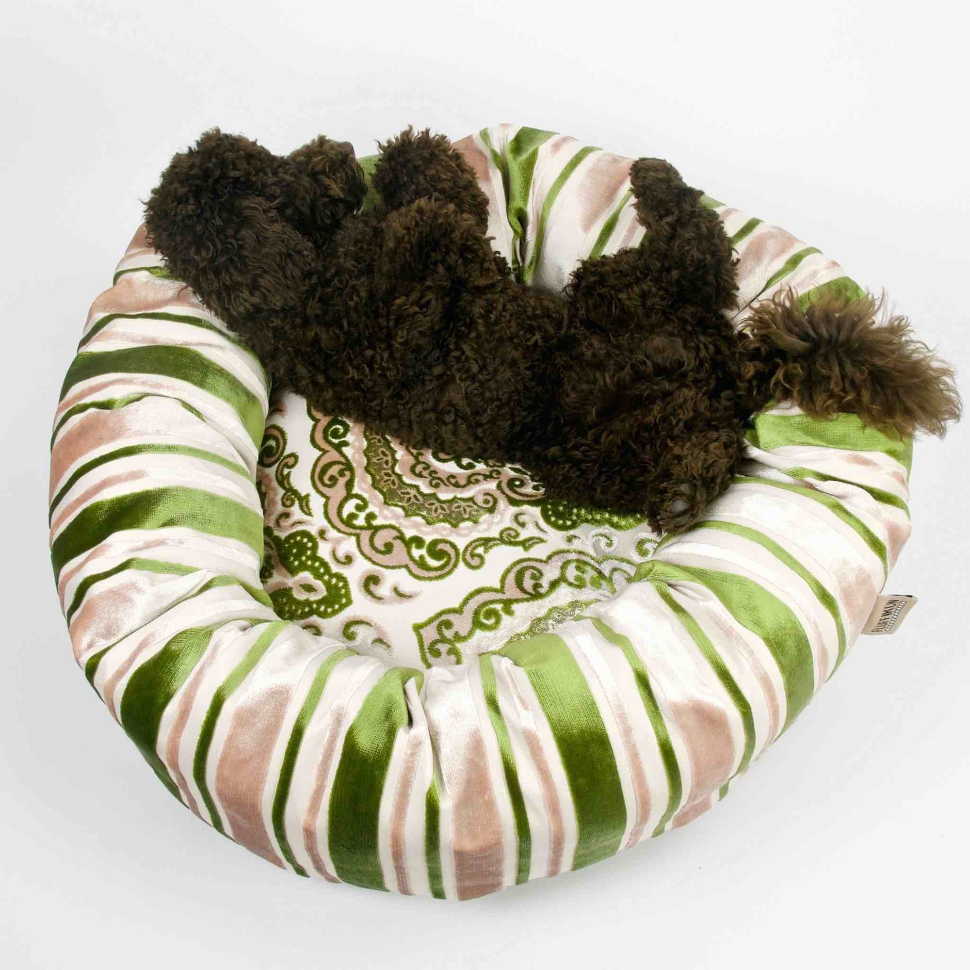 Hundebett Samt grün. Ein brauner Hund schläft im runden Fluffikon Hundebett.