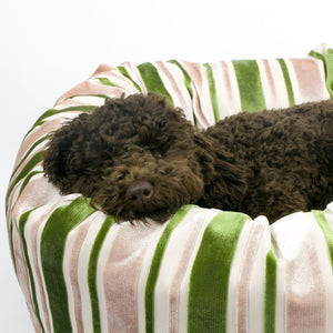 Zoom on a cute dog sleeping in green dog bed made from velvet fabric.