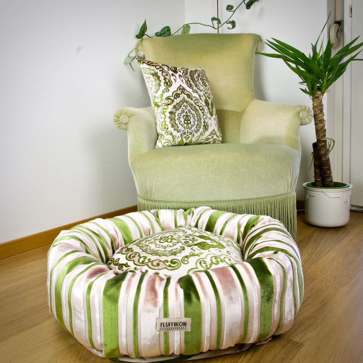 Round green beige dog in a stylish living room in front of a green velvet chair.